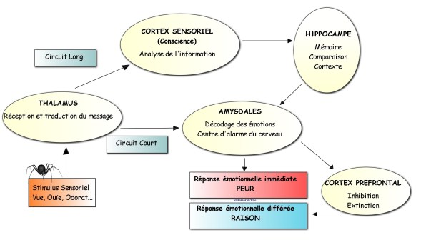 Circuit de la peur.jpg